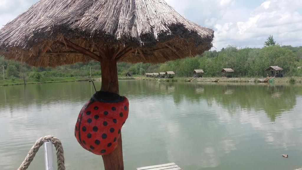Pensiunea Dely_Cios Vălenii de Munte Εξωτερικό φωτογραφία